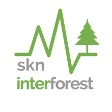 skn forest logo